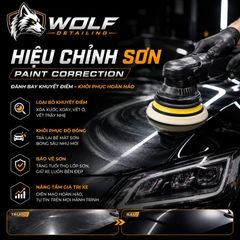 Hiệu chỉnh sơn