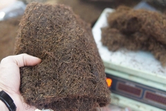 Thuốc lào Thanh hóa đặc biệt