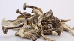 Nấm Nhung Hươu Khô, Quy cách:250gr*40 gói, Trọng lượng 10kg/ thùng