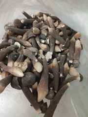 Nấm Đùi Gà Đen Sấy Lạnh, Trọng lượng: 250g*24 gói/ thùng