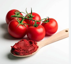 Cà chua cô đặc - Tomato Paste 28/30 Hb