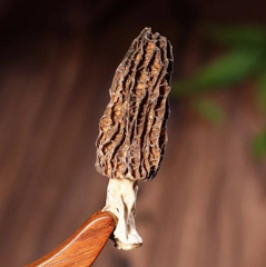 Nấm Bụng Dê Khô, Trọng lượng: 250gr/gói, Quy cách: 24 gói/thùng