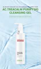 Gel Rửa Mặt Thanh Khiết Cho Da Nhờn Mụn Cell Fusion C Expert Purifying Cleansing Gel Serene Space Sản Phẩm Chính Hãng