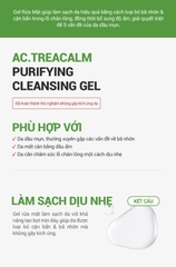 Gel Rửa Mặt Thanh Khiết Cho Da Nhờn Mụn Cell Fusion C Expert Purifying Cleansing Gel Serene Space Sản Phẩm Chính Hãng