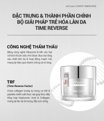 Kem Dưỡng Săn Chắc, Ngăn Ngừa Lão Hóa Cell Fusion C Expert Time Reverse Lifting Cream Serene Space Sản Phẩm Chính Hãng