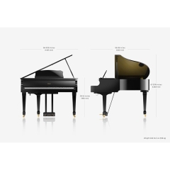 Đàn Grand Piano Roland GP609