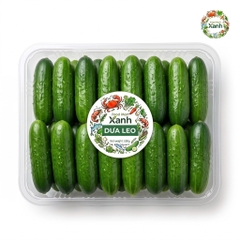 Dưa leo bao tử hộp 500g