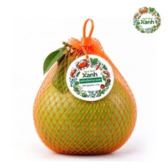 Bưởi hồng da xanh túi lưới 1,5kg