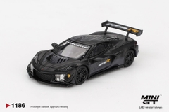 Chevrolet Corvette Z06 GT3.R Road America Test car