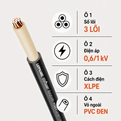 Cáp Điện Lực Hạ Thế LAPP (N)2XY 3x185mm² 0,6/1kV Đen