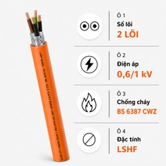 Cáp Điện Lực Chống Cháy LAPP FR-6387 Multicore 0,6/1kV LSZH