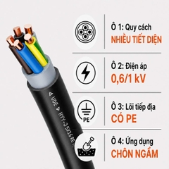 Cáp Điện Lực Hạ Thế LAPP NYY-J 0,6/1kV Chôn Ngầm