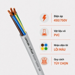 Cáp Nguồn Điều Khiển LAPP ÖLFLEX CLASSIC 100 450/750V PVC