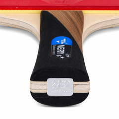 VỢT BÓNG BÀN 729 VERY 6 SAO