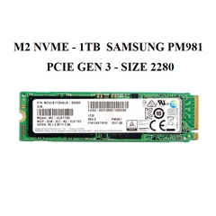 Ổ CỨNG SSD NVME KINGSTON NV2 GEN 4 - 1TB