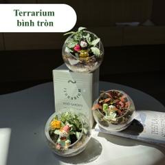 Terrarium bình tròn