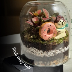 Terrarium bình trụ