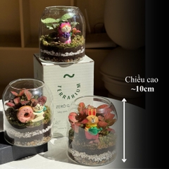 Terrarium bình trụ