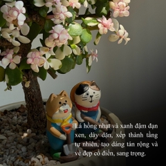 Dolla cổ thụ tăm nấm