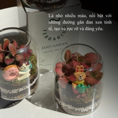 Terrarium bình trụ
