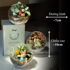 Terrarium bình tròn