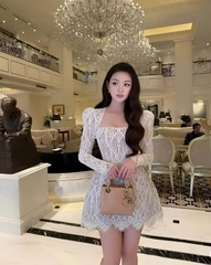 VT Kem ren tay dài bồng CHAUGIANG - CS2