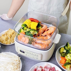 Nồi hấp điện Haatz HTP099