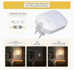 SET 2 ĐÈN NGỦ SURIGHT TRÒN