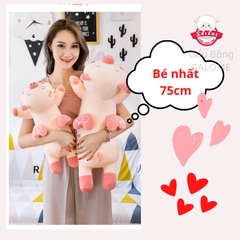 Gấu Bông Heo Cánh Tim