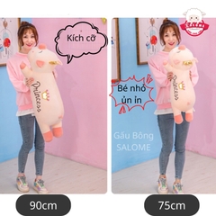 Gấu Bông Heo Đội Vương Miện