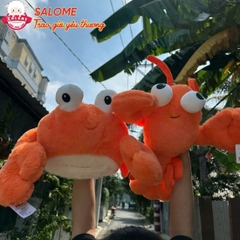 Gấu Bông Tôm Cua