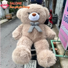 Gấu Bông Teddy Lông Kim Chồn Cao Cấp