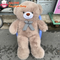 Gấu Bông Teddy Lông Kim Chồn Cao Cấp
