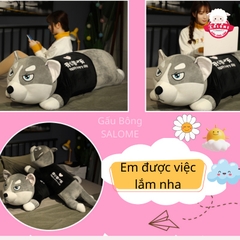 Gấu Bông Chó Husky Mặt Aó