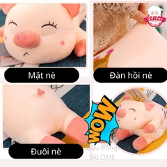 Gấu Bông Heo Đội Vương Miện