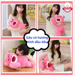 Gấu Bông Gấu Dâu Nghiêng