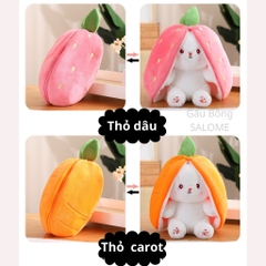 Gấu Bông Thỏ Trong Quả Thỏ Trái Cây