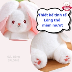 Gấu Bông Thỏ Trong Quả Thỏ Trái Cây