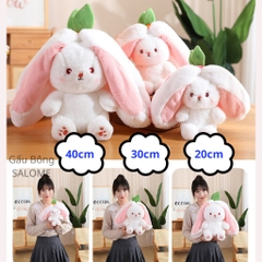 Gấu Bông Thỏ Trong Quả Thỏ Trái Cây