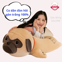 Gấu Bông Chó Pull Nằm