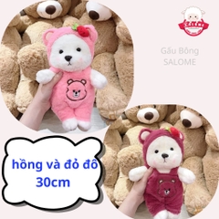 Gấu bông Lena cosplay gấu dâu, Teddy Dâu Mặc Áo Yếm 30cm SALOME tp HCM, Thú Teddy Cao Cấp