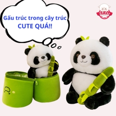 Gấu Bông Gấu Trúc Trong Ống Tre