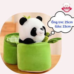 Gấu Bông Gấu Trúc Trong Ống Tre
