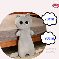 Gấu bông mèo mắt to