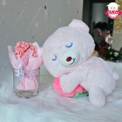 Gấu Dâu Ôm Trái Dâu Mini Nhí 20cm 69k SALOME tp HCM, Thú Teddy Lotso Cao Cấp