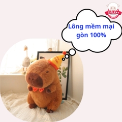 Gấu Bông Capybara Nón Sinh Nhật