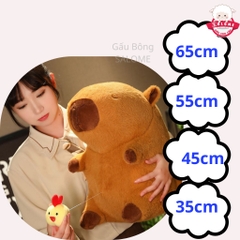 Gấu Bông Capybara Chim Gà