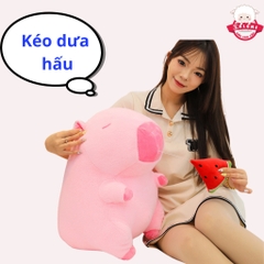Gấu Bông Capybara Ăn Dưa Hấu
