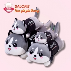 Gấu Bông Mèo Bông Alaska Mặc Áo