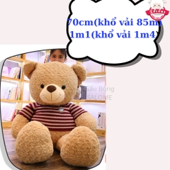 Gấu bông teddy xù mì áo len